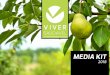 MEDIA KIT - Viver Saudável · Como revista profissional, a VIVER SAuDáVEL é um espaço de relação entre os diversos players do setor da nutrição, focando os temas de maior