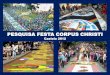 PESQUISA FESTA CORPUS CHRISTI - Observatório do … · ônibus de excursão. 15% utilizou a moto como meio de transporte para chegar até CASTELO/ES Hábitos e Avaliações Meio