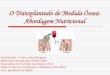 O Transplantado de Medula Óssea: Abordagem Nutricional · Distúrbios mieloproliferativos Mieloma múltiplo Linfoma não-Hodgkin Linfoma de Hodgkin (Castro,M. 2000) Aplicação de