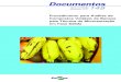 Procedimento para Análise de Compostos Voláteis de Banana ... a caracterização de novos materiais genéticos, ... captura de compostos voláteis de amostras de banana in natura,
