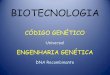 BIOTECNOLOGIA · CLONAGEM DE ORGANISMOS ... Obtenção de múltiplas cópias de DNA Seqüenciamento de DNA ... DNA fingerprinting Determinação de paternidade. Title: Slide 1 Author: