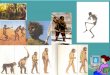 Breve História da evolução - Estudantes de Arqueologia ...arqueologia2014.weebly.com/uploads/3/7/2/3/37232577/2_breve... · 9 horas da manhã do dia 26 de ... qualquer órgão