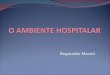 O AMBIENTE HOSPITALARmoodle.joinville.ifsc.edu.br/~regimaciel/Regi%20Maciel/... · PPT file · Web view2011-10-03 · Foto de um Quarto do Hospital Albert Aistein INFECÇÃO HOSPITALAR