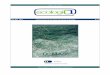 ISSN: 1647-2829 - speco.pt · Microplásticos nos oceanos ... Mapeamento de habitats marinhos no espaço Atlântico para uma ... Coordenador da Comissão Mundial Independente para