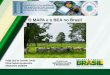 O MAPA e o BEA no Brasil - CRMV GO- Conselho … MAPA e o BEA no...Estabelece medidas de proteção aos animais Art. 1 “ todos os animais existentes no país são tutelados do estado”