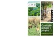 Conservando pastagens e paisagens · Comunicação do WWF-Brasil » Aldem Bourscheit ... naturais e formações arbóreas como mata, cerradão, ... das formações vegetais, 