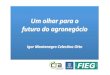 Um olhar para o futuro do agronegócio - 8º Congresso Brasileiro … · 2012-11-23 · pois o estoques de alimentos estão diminuindo ... Redução nos estoques de alimentos (comparativo
