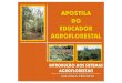 INTRODUÇÃO AOS SISTEMAS AGROFLORESTAIS · Fotos: Revisão: Projeto gráfico / ... Sistemas agroflorestais seqüenciais Esses modelos compreendem formas de agricultura migratória