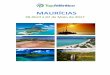 Info teis - Mauricias - LP2017)lp2017mauricias.tacongresspco.com/uploads/lp2017mauricias/editor/... · flores, quando repararam na deslumbrante beleza de uma ilha e do mar esmeralda