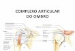 COMPLEXO ARTICULAR DO OMBRO · Complexo Articular do Ombro ... braço descreve no espaço um cone irregular, o ... Acrômio-clavicular 5) Art. Esterno-clavicular