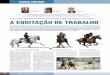 AVALIAÇÃO GENÉTICA PARA A FUNCIONALIDADE NO …repositorio.ipsantarem.pt/bitstream/10400.15/1458/1... · 2016-05-11 · na Prova de Maneabilidade Figura 3 – Dupla João Rafael