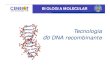 Tecnologia do DNA recombinante - Universidade Federal de ... · 1. DNA recombinante 2. Enzimas de restrição 3. Vetores de clonagem - Plasmídios - Bacteriófagos - Cosmídeos 4