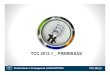 TCC 2013.1 PREMISSAS - unicuritiba.edu.br · do cenário, a geração do briefing para a Criação e a Mídia, bem como a produção dos materiais e peças previstos nesse planejamento