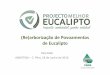 (Re)arborização de Povoamentos de Eucaliptoabastena.pt/pdf/melhor_eucalipto/4-CELPA_Abastena_C_Pera... · A vida de um povoamento é “longa”. O sucesso das plantações é fortemente