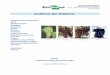 Cultivo da Videira - Principal · ISSN 1807-0027 Versão Eletrônica Julho/2004 ... Glossário Expediente Autores ... de trabalhadores necessários para condução do cultivo da uva