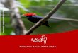 Sociedade para a Conservação das Aves do Brasil 1 · Apoio ao Centro de Educação para a Conservação de Murici, com a realização de 41 atividades (média de 1.018 participantes