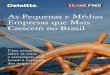 As Pequenas e Médias Empresas que Mais Crescem no Brasil · que hoje servem de referência às atuais PMEs ... a amostra e que não se classificaram para o ranking das 100 que mais