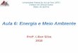Energia e Meio Ambiente - ufjf.br · Aula 6: Energia e Meio Ambiente Profa. Lilian Silva 2018. Energia e Meio Ambiente ... biomassa é uma forma indireta de energia solar. A energia