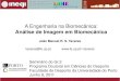 Análise de Imagem em Biomecânica - paginas.fe.up.pttavares/downloads/publications/... · deformável, FEM, equação de Lagrange João Manuel R. S. Tavares Análise de Imagem em