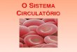 O Sistema Circulatório - storadeciencias.files.wordpress.com · CONSTITUIÇÃO DO CORAÇÃO ... alimenta de sangue do corpo inteiro. O lado esquerdo do coração: Title: O Sistema