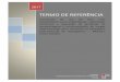 TERMO DE REFERÊNCIA - licitacao.infraero.gov.brlicitacao.infraero.gov.br/.../AnexoV_Termo%20de%20Refer%eancia.pdf · Superintendência de Negócios em Logística de Carga – DCLC