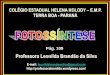 Professora Leonilda Brandão da Silva · •Por meio de uma série de reações químicas , são sin-tetizados glicídios, a partir do CO 2 e dos hidrogênios ... 3 Velocidade da