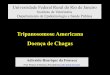 Tripanosomose Americana Doença de Chagas - r1.ufrrj.brr1.ufrrj.br/.../uploads/2014/06/11_2-Tripanosoma-D-Chagas-Adivaldo.pdf · TRATAMENTO Doença de Chagas Nifurtimox (Lampit)-