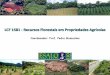 Coordenador: Prof. Pedro Brancalion§ão disciplina.pdf · - bioma e formação vegetal nos quais a propriedade está inserida - geologia e relevo - solos predominantes - clima e