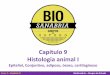 Capítulo 9 Histologia animal I - biosanabria.com.br · Livro 1 –Capítulo 9 BioSanabria –Grupos de Estudo 1. Tecido Epitelial 2. Tecido Conjuntivo 3. Tecido Muscular 4. Tecido