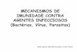 MECANISMOS DE IMUNIDADE CONTRA AGENTES … · mecanismos de imunidade contra agentes infecciosos (bactérias, vírus, parasitas) prof. helio josÉ montassier / fcavj-unesp