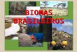 [PPT]BIOMAS BRASILEIROS - Ciências | Just another ... · Web viewA Caatinga A caatinga é uma formação vegetal que podemos encontrar na região do semi-árido nordestino. Está