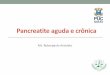 PANCREATITE AGUDA E CRÔNICA - professor.pucgoias.edu.brprofessor.pucgoias.edu.br/SiteDocente/admin/arquivosUpload/15347... · •A concentração elevada de bilirrubina no sangue