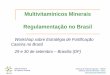 Multivitamínicos Minerais Rl tã BilRegulamentação no Brasil189.28.128.100/dab/docs/portaldab/documentos/apresentacao_regu... · minerais a dieta diária de uma população saudável,