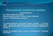Ministério do Meio Ambiente Instituto Brasileiro do Meio ... · Instituto Brasileiro do Meio Ambiente e dos Recursos Naturais Renováveis Superintendência do IBAMA no Estado do