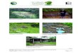Situação encontrada Fonte recuperada - Programa Água Limpa · Projeto: Água Limpa - Desafio para o desenvolvimento consciente e sustentável Organização: Prefeitura de Caxias