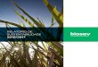 RelatóRio de sustentabilidade - Biosev - A Biosev é a ... · sev Bioenergia Ltda.; e Indumel ... que fabrica e da história de transforma- ... Melaço em pó, levedura seca e ração