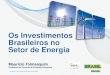 Os Investimentos Brasileiros no Setor de Energia · REGISTRO NA ANEEL LICENÇA PRÉVIA INFORMAÇÃO DE ACESSO CERTIFIC. DE PRODUÇÃO DE ENERGIA ... Garantia de participação no