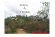PEDRAS E VEREDAS - gmariano.com.br filePedras & Veredas 