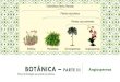 BOTÂNICA ² PARTE III Angiospermas - inedi.com.br · Embriófitas (Reino Plantae) Plantas vasculares Plantas com sementes ... Gimnospermas Angiospermas Ramo da biologia que estuda