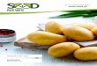 N.º 6 | Novembro 2017  · “Mercado” nacional e internacional da batata, com o resu- ... O aumento da área plantada é comprovado pela subida da importação de semente. De Janeiro