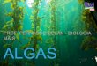 PROF. FERNANDO BELAN - BIOLOGIA MAIS ALGASbiologiamais.com.br/download-119/ba14-algas.pdf · Parede celular de sílica (sem celulose). DIATOMÁCEAS. ALGAS DIATOMÁCEAS ... Clorofila