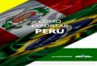 COMO EXPORTAR PERU - investexportbrasil.gov.br · desenvolvimento de empreendimentos conjuntos com o objetivo de conquistar os mercados da Bacia do ... da zona do euro, a desaceleração