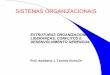 ESTRUTURAS ORGANIZACIONAIS; LIDERAN‡AS; CONFLITOS E ... SISTEMAS ORGANIZACIONAIS figura - Modelo