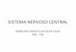 SISTEMA’NERVOSO’CENTRAL’ - files.hsjc-anest.comfiles.hsjc-anest.com/200000074-4fc55503e7/Sistema Nervoso Central.pdf · SISTEMA’NERVOSO’CENTRAL’ ’ ANATOMIA’ ’ ’