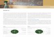 RELATÓRIO ANUAL DE 2011 DO BANCO MUNDIAL - ISBN: …siteresources.worldbank.org/EXTANNREP2011/Resources/8070616... · com três países da região — Cabo Verde, ... do mundo que
