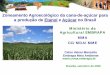 Zoneamento Agroecológico da cana-de-açúcar para a produção ... · •Compete ao MAPA autorizar a instalação ou ampliação de usinas. •Não será autorizada a instalação