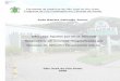 Faculdade de Medicina de São José do Rio Preto Programa de ...bdtd.famerp.br/bitstream/tede/84/1/joaobatistasalomaojunior_tese.pdf · Características da história anterior de enfermidades