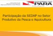 Participação da SEDAP no Setor Produtivo da Pesca e ...sedeme.com.br/portal/download/pdrs/...DIAFAM-PISCICULTURA-altamira.pdf · Acre 3.863,98 Amapá 451,60 Amazonas 15.064,14 Pará