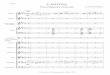 Cantiga -  · PDF fileViola Caipira (10 cordas) Percussão: Violino I Violino II Violino III Viola Violoncelo Contrabaixo
