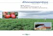 BRS Sena: do desenvolvimento à inserção na cadeia produtiva · Em 2012 o país ocupou o oitavo lugar na lista de maiores produtores mundiais de tomate (FAO, 2013), com uma produção